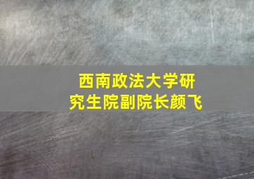 西南政法大学研究生院副院长颜飞