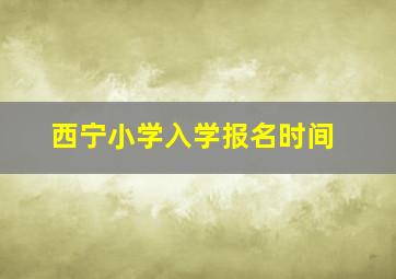 西宁小学入学报名时间