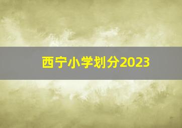 西宁小学划分2023