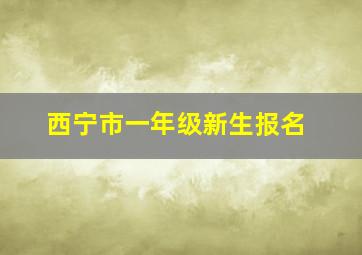 西宁市一年级新生报名