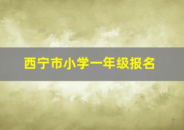 西宁市小学一年级报名