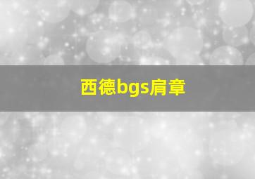 西德bgs肩章