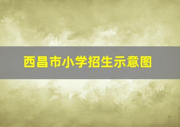 西昌市小学招生示意图