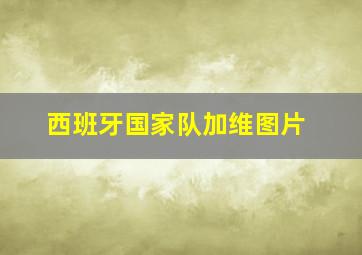 西班牙国家队加维图片