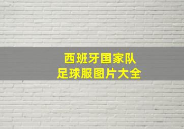 西班牙国家队足球服图片大全