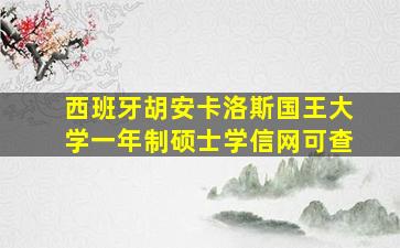 西班牙胡安卡洛斯国王大学一年制硕士学信网可查