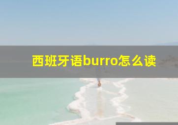 西班牙语burro怎么读