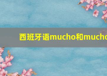 西班牙语mucho和muchos