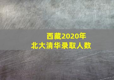 西藏2020年北大清华录取人数