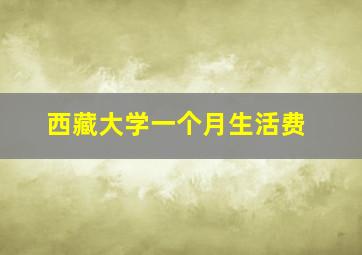 西藏大学一个月生活费