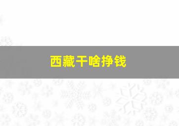 西藏干啥挣钱