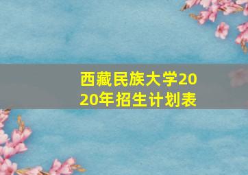 西藏民族大学2020年招生计划表