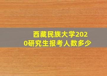 西藏民族大学2020研究生报考人数多少