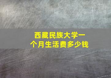 西藏民族大学一个月生活费多少钱