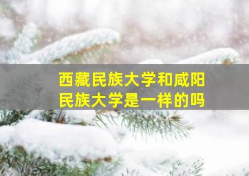 西藏民族大学和咸阳民族大学是一样的吗