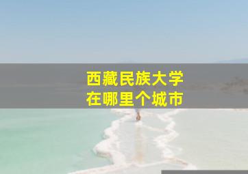 西藏民族大学在哪里个城市