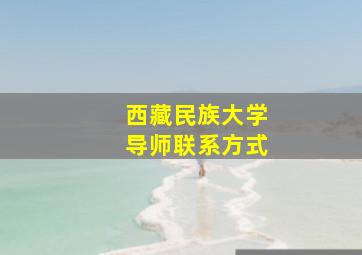 西藏民族大学导师联系方式