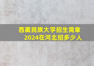 西藏民族大学招生简章2024在河北招多少人