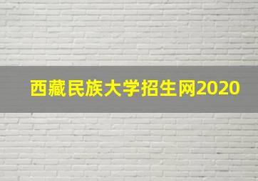 西藏民族大学招生网2020