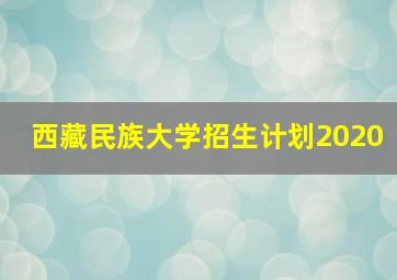 西藏民族大学招生计划2020