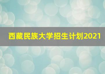 西藏民族大学招生计划2021