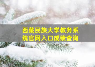 西藏民族大学教务系统官网入口成绩查询