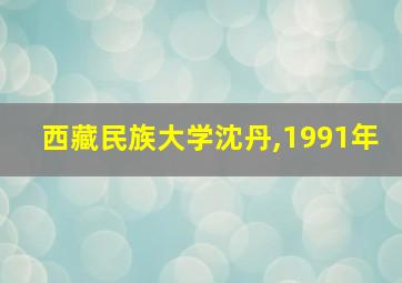 西藏民族大学沈丹,1991年