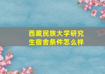 西藏民族大学研究生宿舍条件怎么样