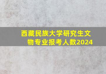 西藏民族大学研究生文物专业报考人数2024