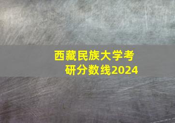 西藏民族大学考研分数线2024