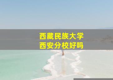 西藏民族大学西安分校好吗