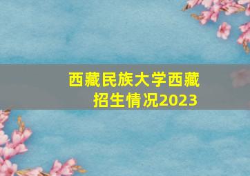 西藏民族大学西藏招生情况2023