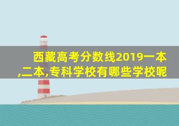 西藏高考分数线2019一本,二本,专科学校有哪些学校呢