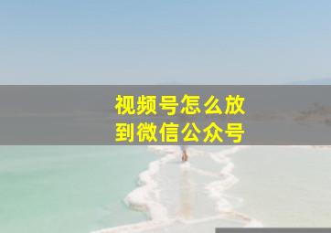 视频号怎么放到微信公众号