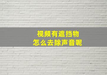 视频有遮挡物怎么去除声音呢