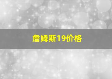 詹姆斯19价格