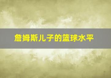 詹姆斯儿子的篮球水平