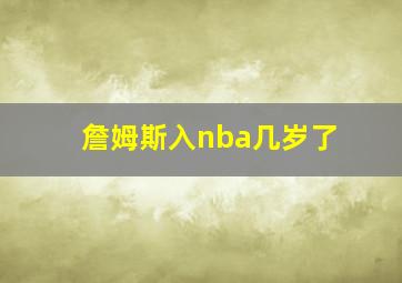 詹姆斯入nba几岁了