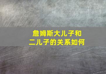 詹姆斯大儿子和二儿子的关系如何