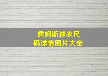 詹姆斯球衣尺码详情图片大全