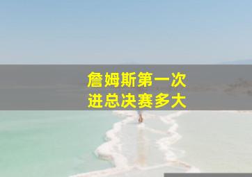 詹姆斯第一次进总决赛多大