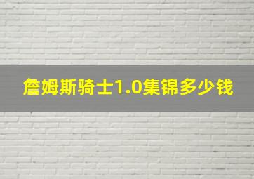 詹姆斯骑士1.0集锦多少钱