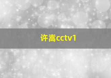 许嵩cctv1