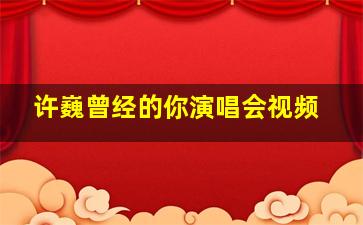 许巍曾经的你演唱会视频