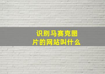 识别马赛克图片的网站叫什么