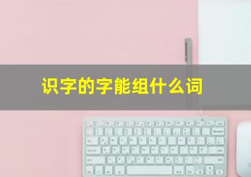 识字的字能组什么词