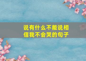 说有什么不能说相信我不会哭的句子