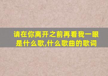 请在你离开之前再看我一眼是什么歌,什么歌曲的歌词