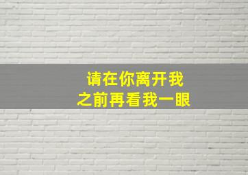 请在你离开我之前再看我一眼