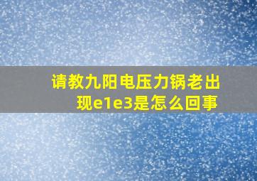 请教九阳电压力锅老出现e1e3是怎么回事